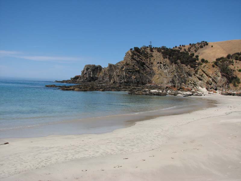 Western River Cove